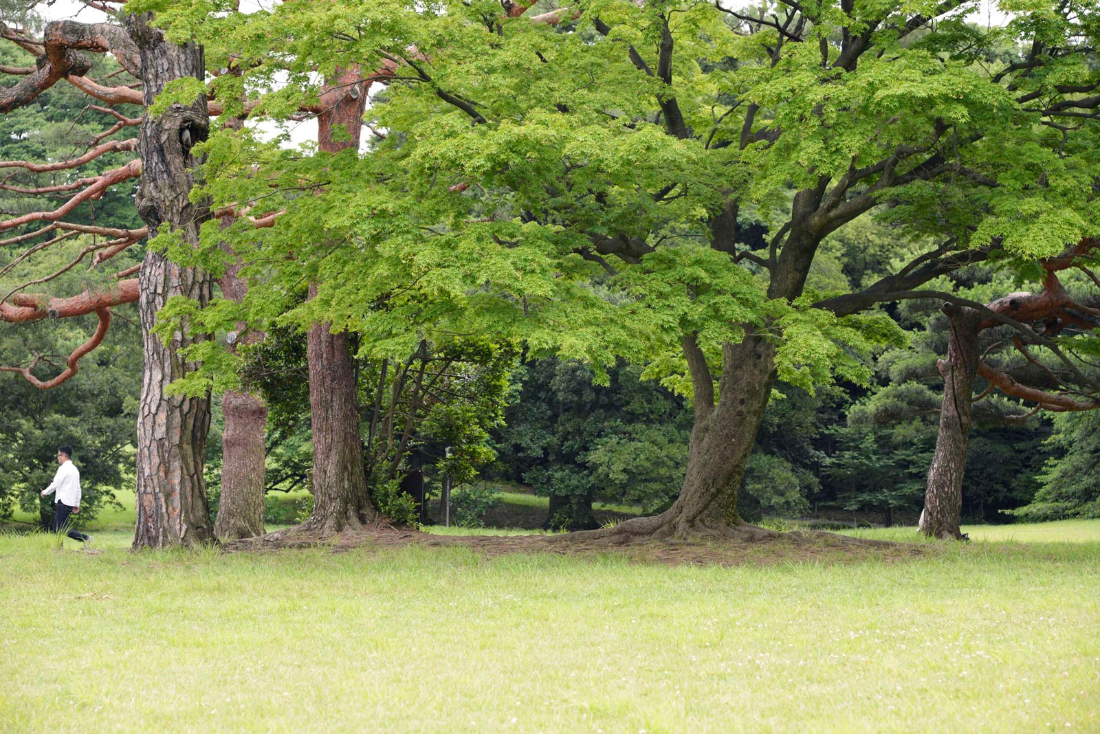 img-footer-bg